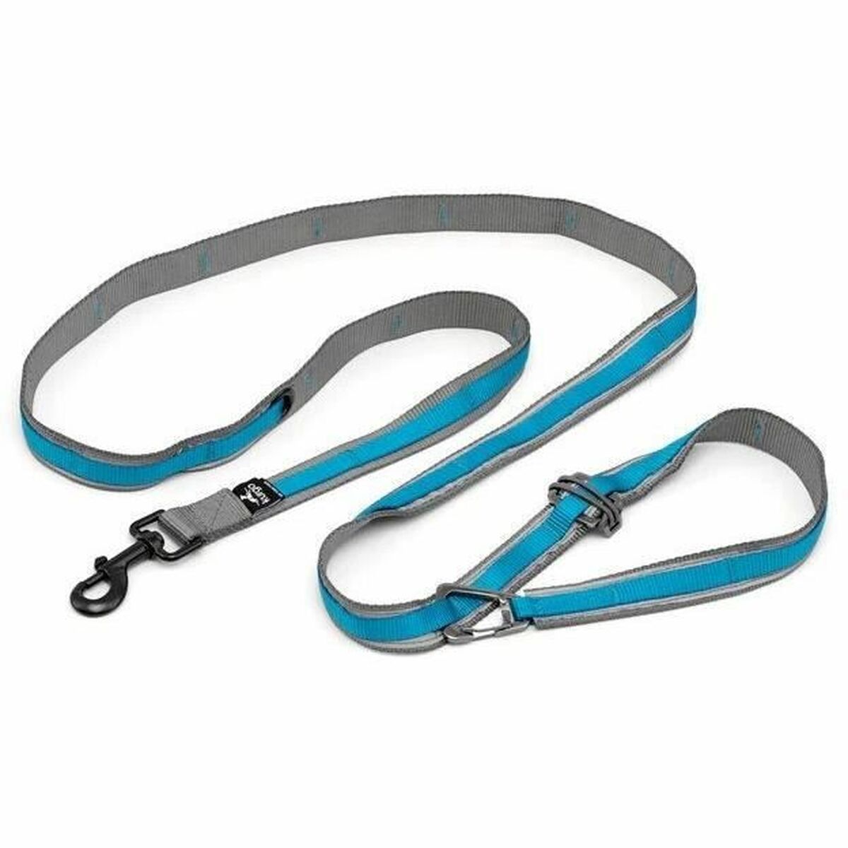 Collares, arneses y correas