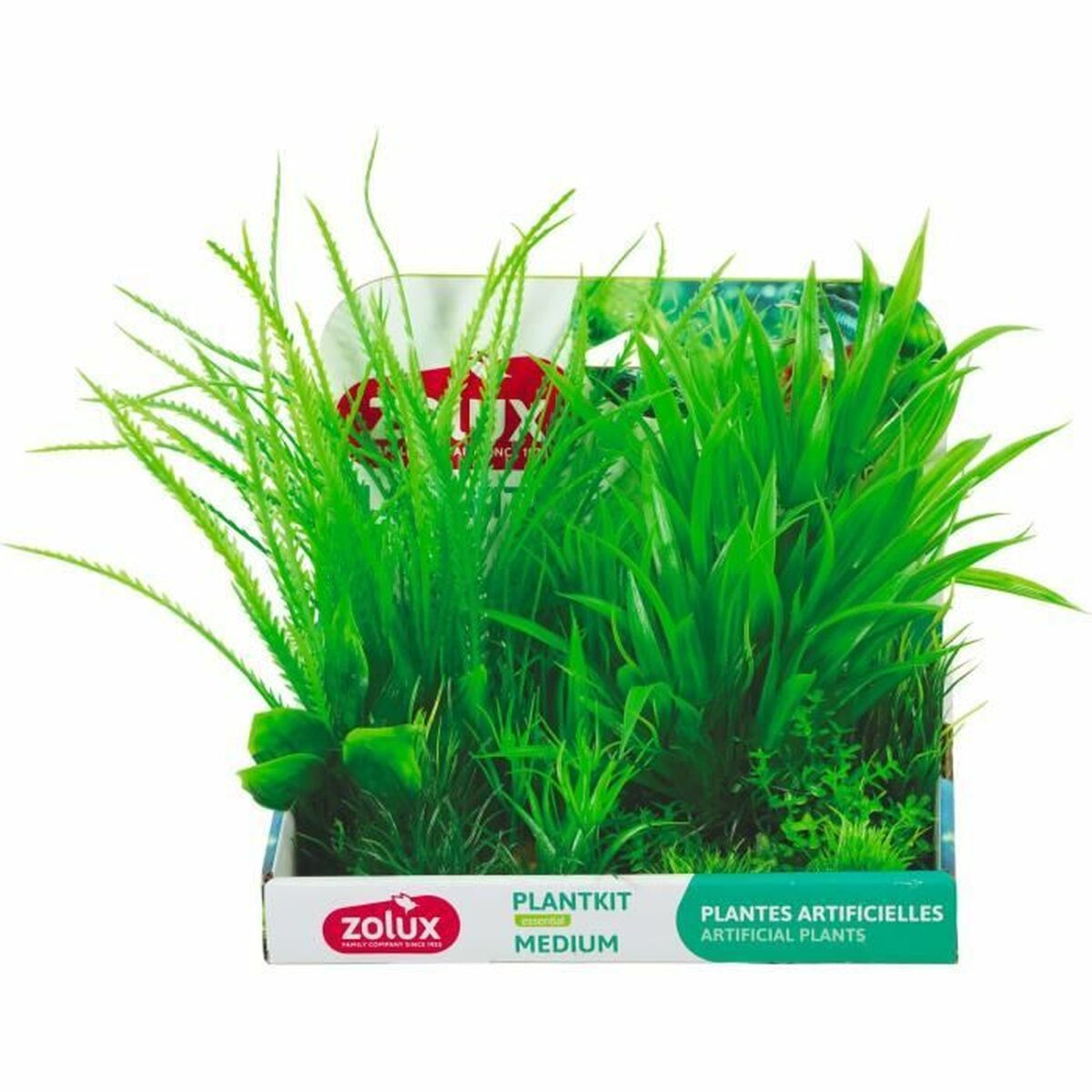 Plantas para acuarios