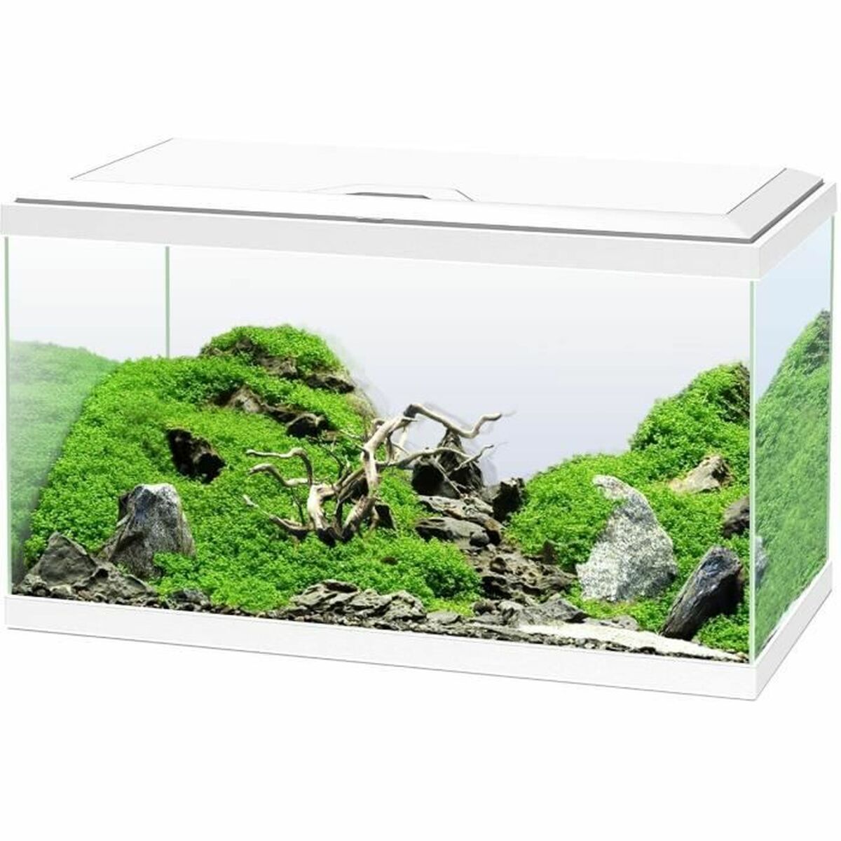 Acuarios y Muebles
