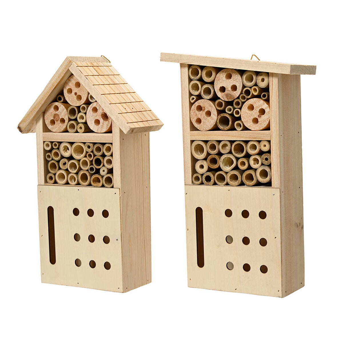 Cajas de insectos