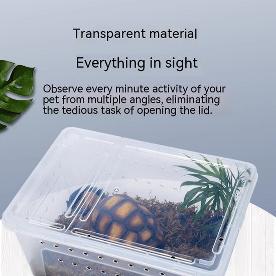 CAJA PARA ALIMENTAR GUSANOS DE SEDA, RECIPIENTE PARA MASCOTAS Y TORTUGAS