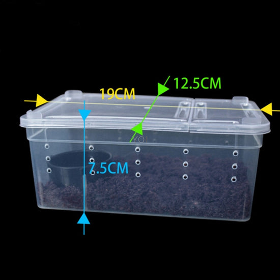 CAJA TRANSPARENTE DE PLÁSTICO PARA ALIMENTACIÓN DE REPTILES