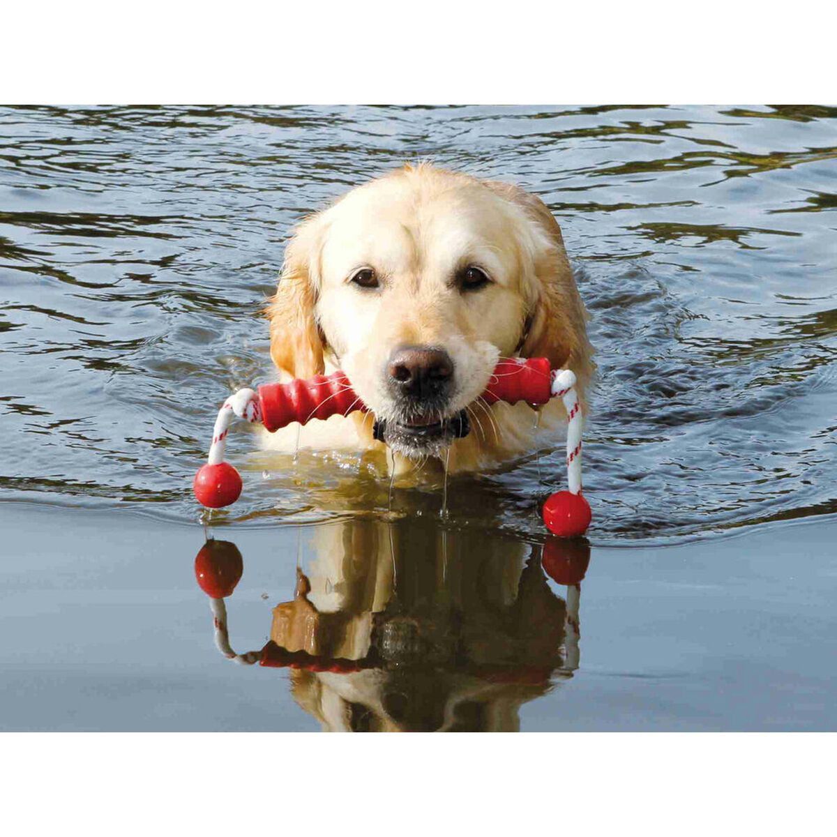 V5HEA8AA654B869B6D5212ADB2057BBBDE8R7443080P5