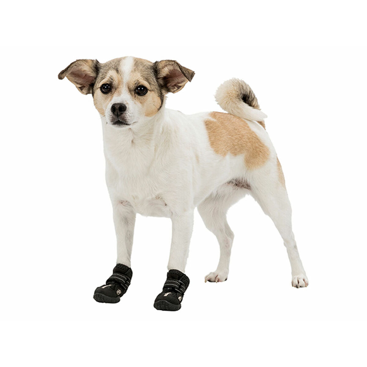 V3H6DE0F5E16851FD211C569026D2A44573R7440388P5