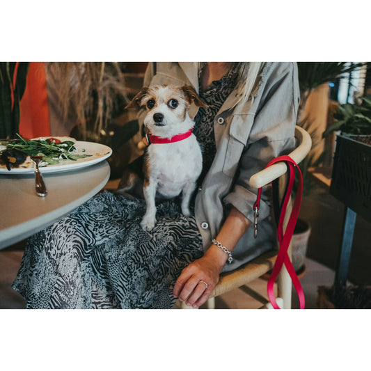 V6HE45388FB7FCD6A9FD34A0AEED93F6C6BR3622776P2