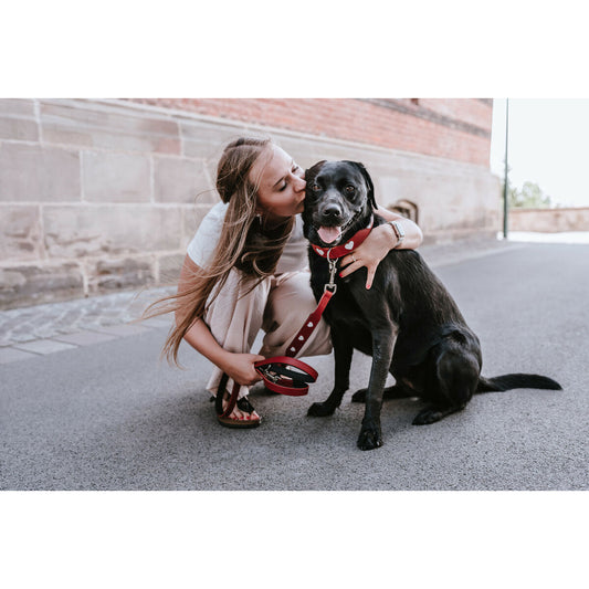 V4HB0A4AC95CB46969E3BAB48F0A626D953R4393778P2