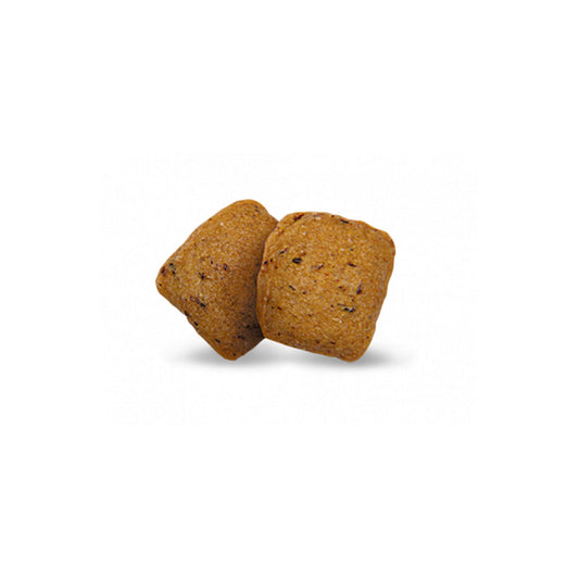 V6HC4A485D35D6735F467EF795E89B8E0E8R7502515P2