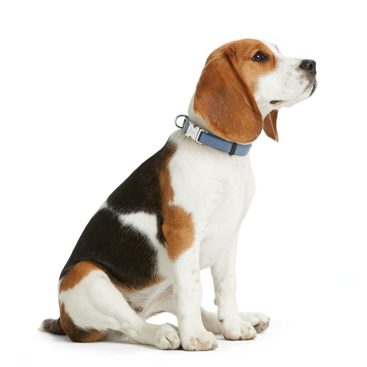 V3H58DB52759916AE03647876A6130F1AE7R5582614P2