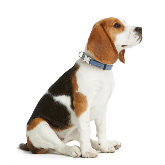 V3H58DB52759916AE03647876A6130F1AE7R5582614P2