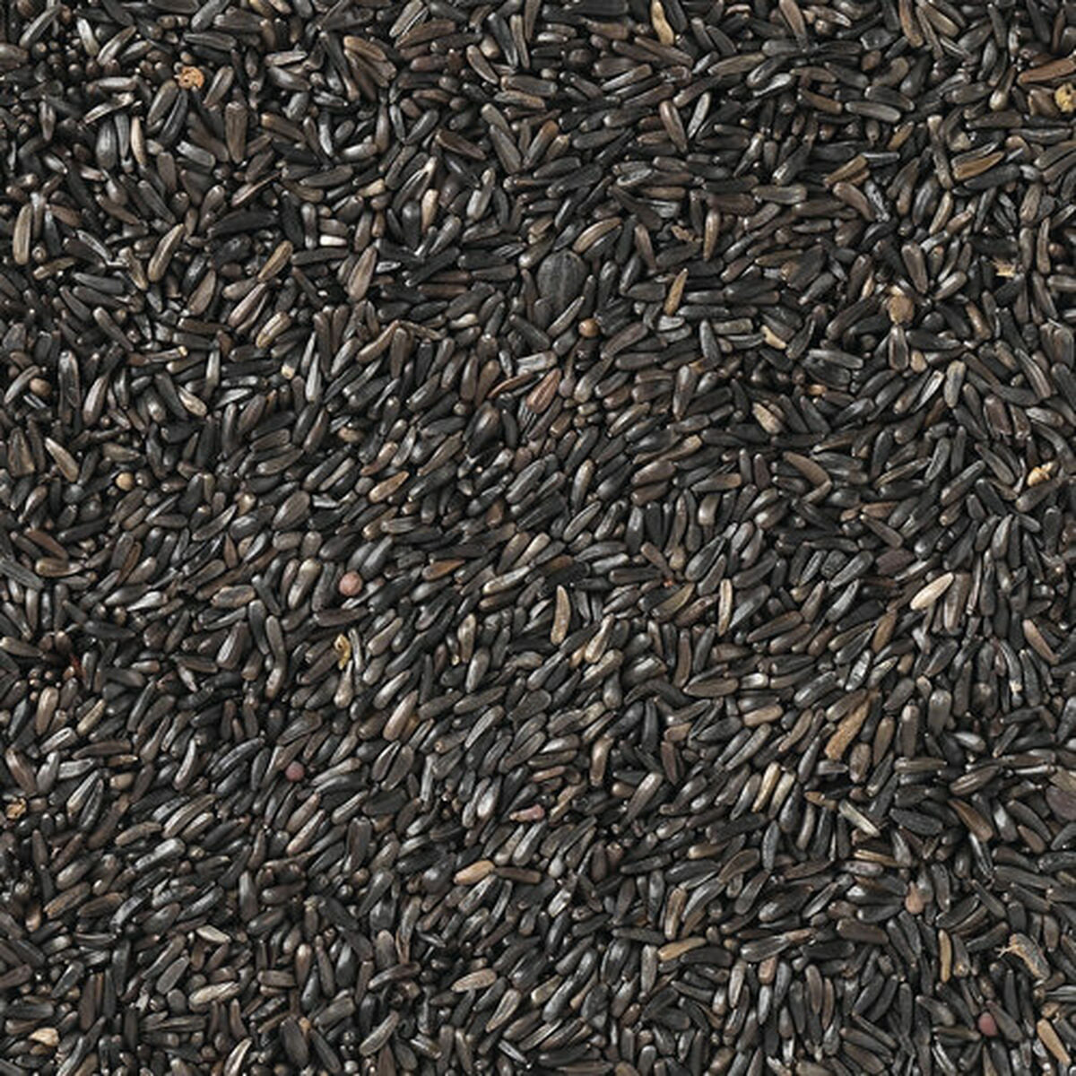 V6HCB44A142596BEE22F875BA0F07F4B44AR7450033P4