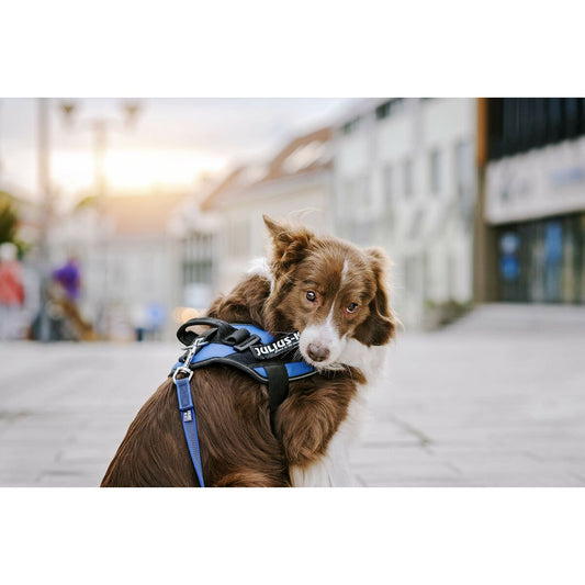 V3H67A50FFDD1436D7BB5701F75B5657F49R5592573P2