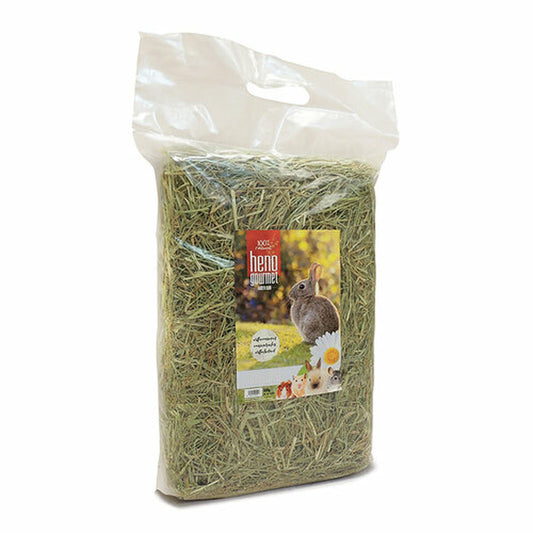 V4H53A6A81E9A4DAD56674DC91D3375F26BR7445422P2