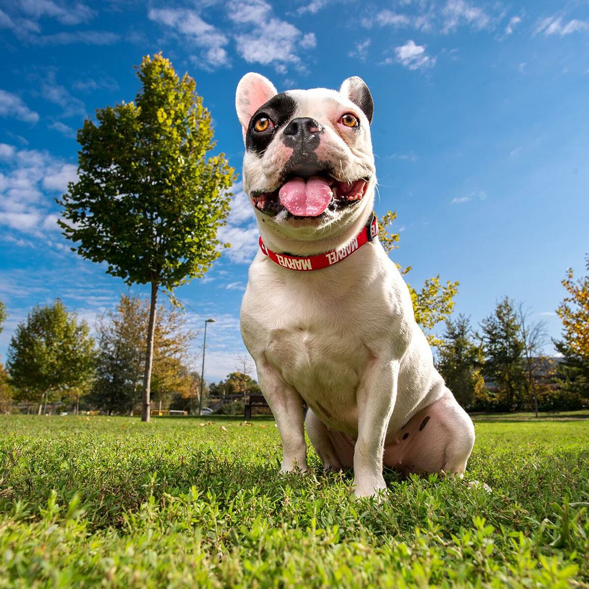 V3HE7BBA62FD0644F38C65FD7E5605726EER4655548P7