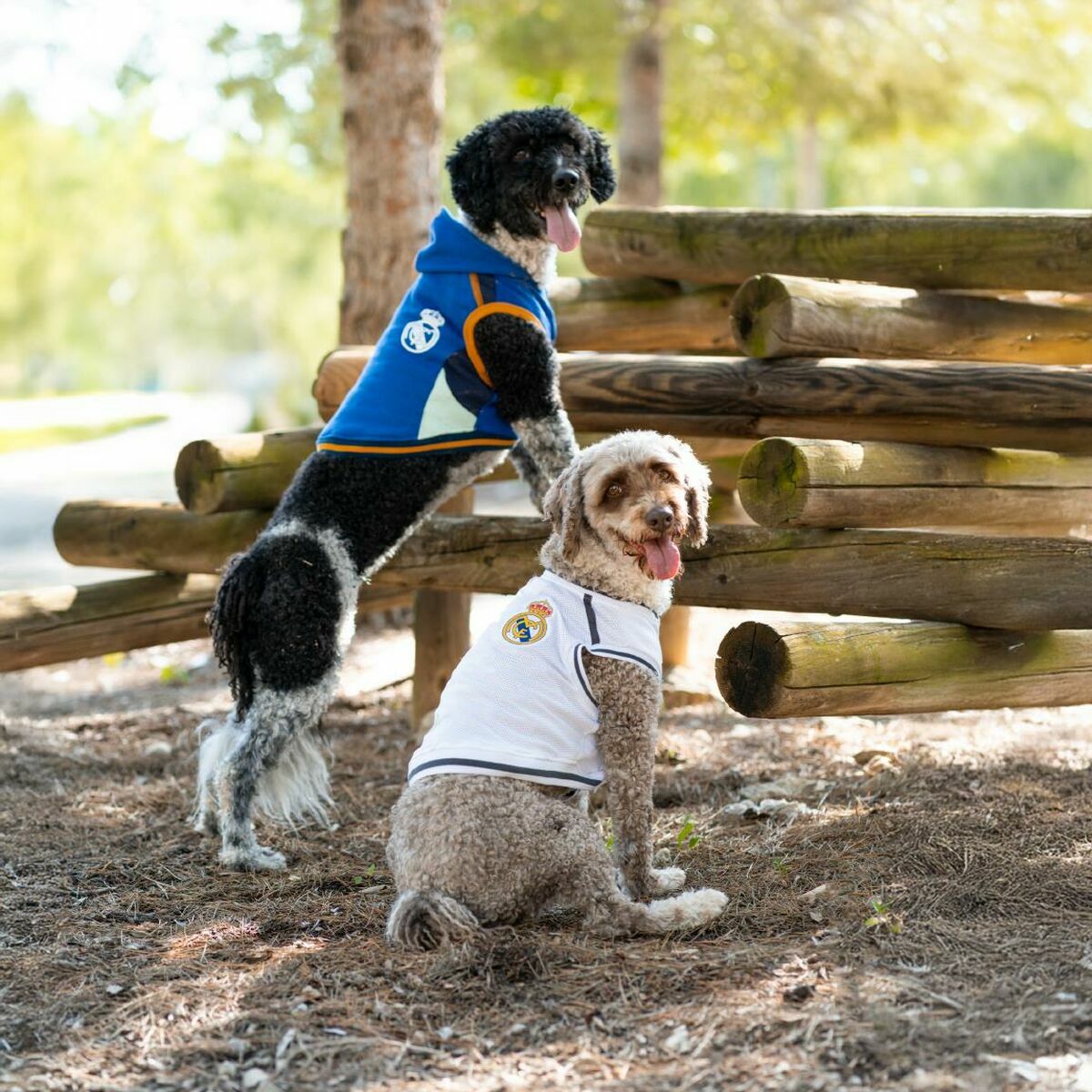 V3H92EA5761A95ACE8E87C0929CF6AE6919R7057216P4