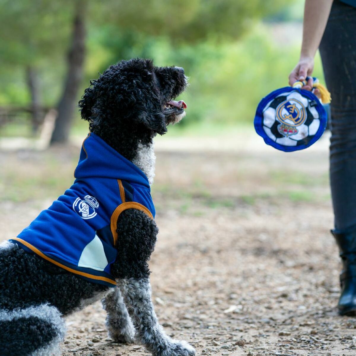 V3HD7C8A231AED0F70943F798463D0D8D3AR6351880P4