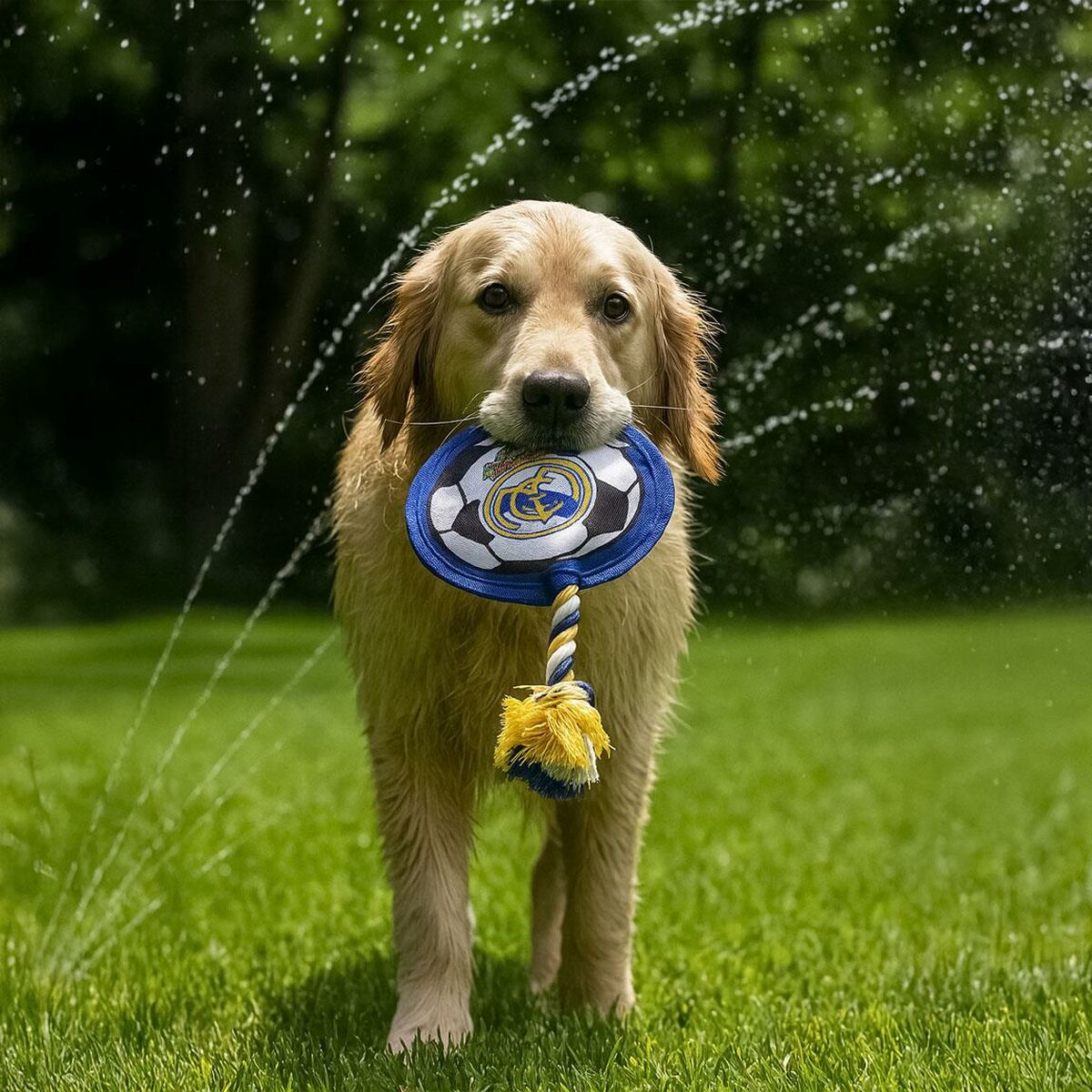 V3H0BBAE96D987E72A619F49106FC2C60FBR6293081P3