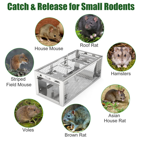 PAQUETE DE 2 TRAMPAS PARA RATONES HUMANA, 2 PUERTAS, 11.81 × 5.63 × 4.45 PULGADAS, AUTOMÁTICA Y CONTINUA, REUTILIZABLE, JAULA PARA ANIMALES VIVOS DE HIERRO GALVANIZADO