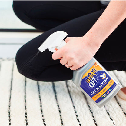 V5H9309D006AACD0AAB2945195B249392E2R4978035P4