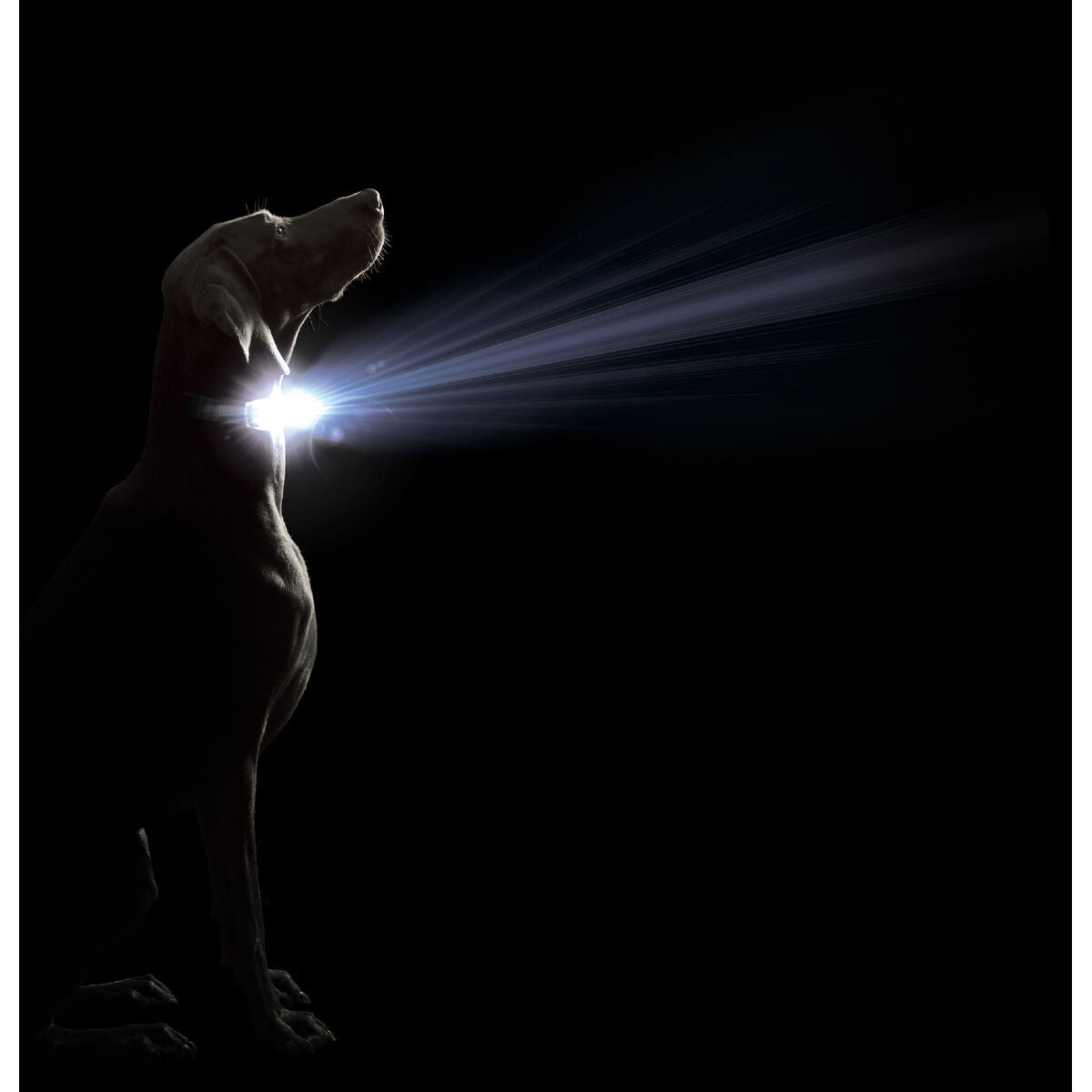 V3H2F09F3D453E760901C7B51128B9621A3R5554881P2