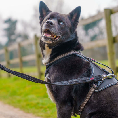 V3H24F9BD465C3B5696D58E920F0E73AB57R7245511P3