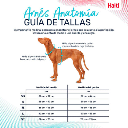 V4HFA935F3A4284E19C3507BBDD231E9386R5328451P3