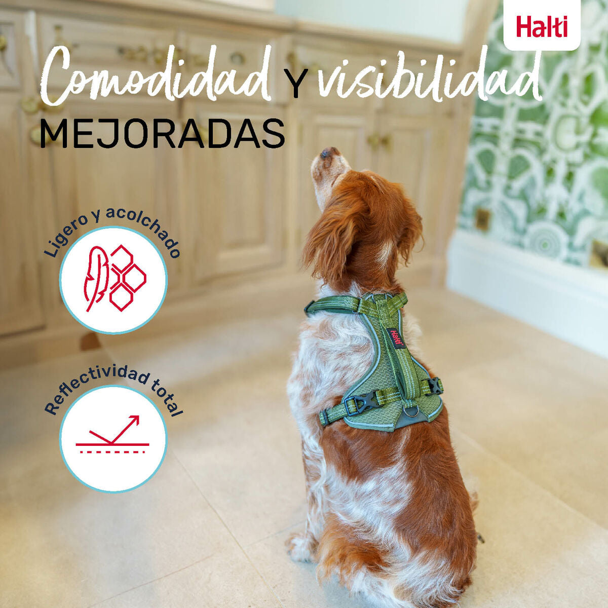 V4H3E0BF87AEBBA18F52FFABB0517A3DDE7R5328531P5