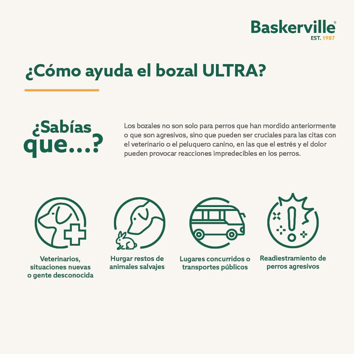 V4H52AC3D5D500079722ECEE8ECCFFE5560R5327549P3