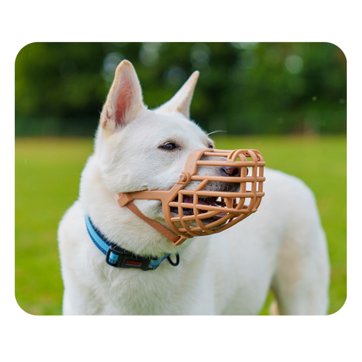 V4H34C1E1998958373A2181D283D4EE3CF3R5327586P3