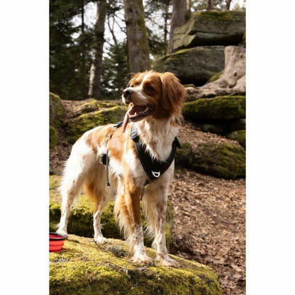 V5HE6D4EB4CFDE231B7B26C46AFF29045E1R5293575P6