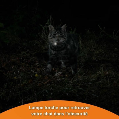 V7HA94C31FE276F8F8C005D91FA38441B7FR7273387P5