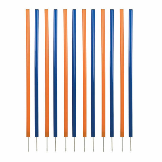 V3H0E1D33632766FA60CE1E5A698BCAF1E9R5763181P1