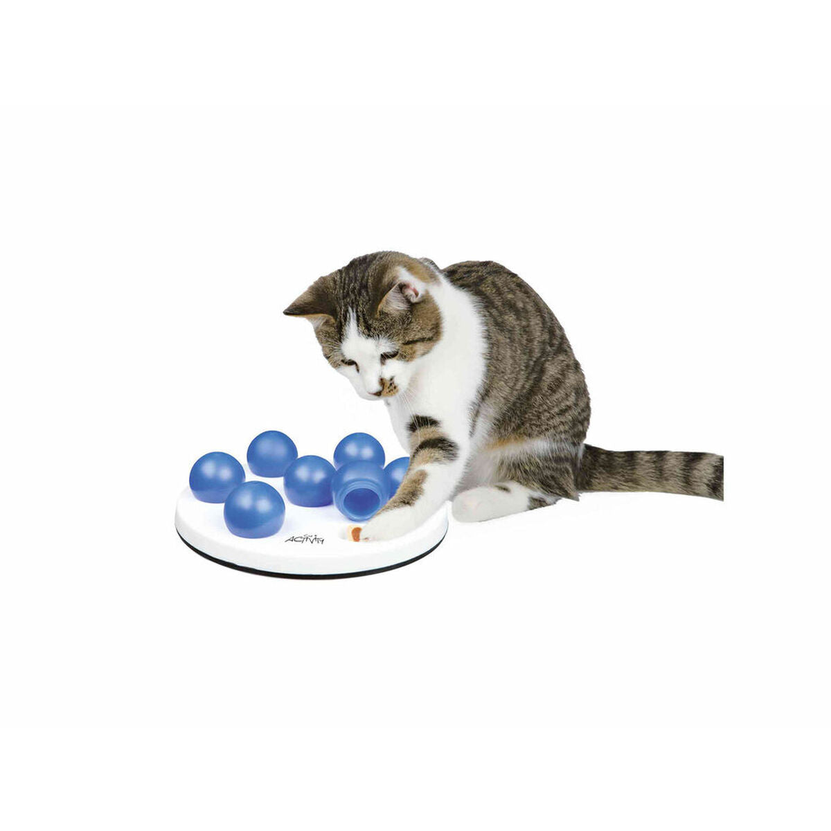 V5H36206A2F91150F359EF610DACBE185B1R7444980P1