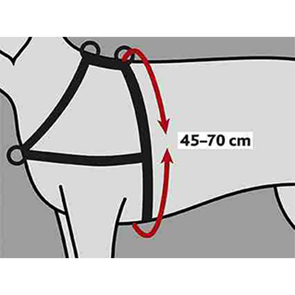 V6HDD7AB7C69E423EC9A6F295B3D8969F72R7441863P2