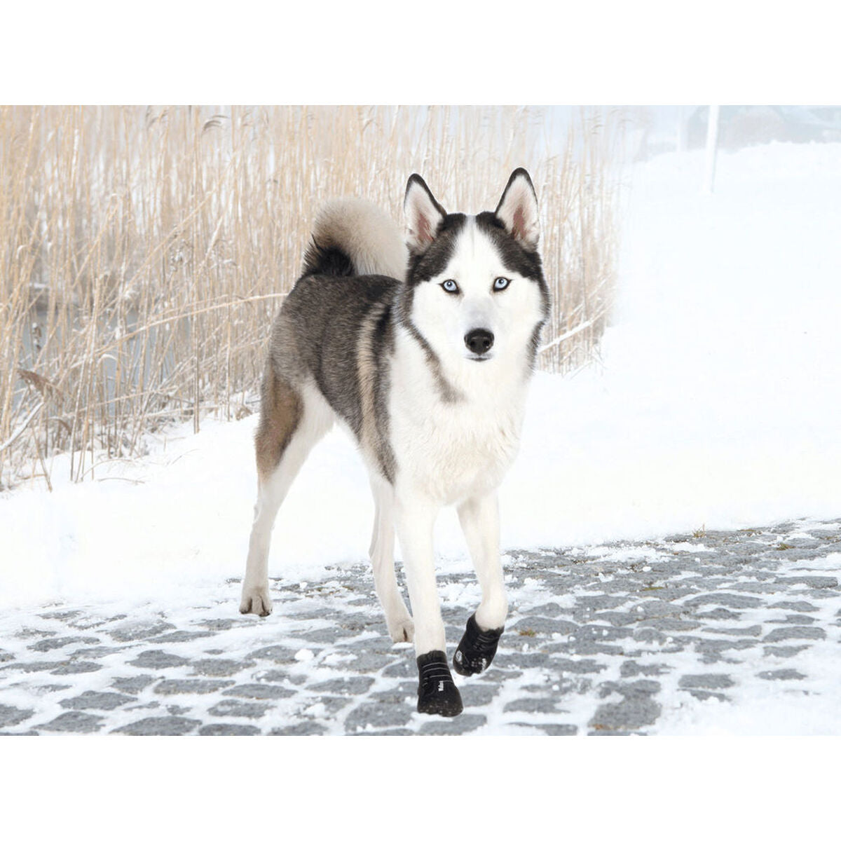 V3H0F025942EA9D19C1A67D7419D3CFA2F4R7439876P3