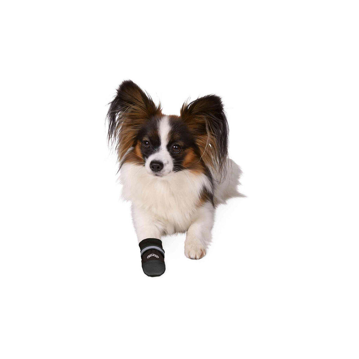 V3HC4B1D986BDB044F2F0AE8B4C7E9F8209R7440537P3