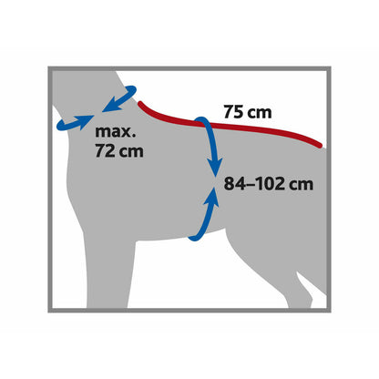 V4HB44CA669CA8C398EAD5AAA5E41071781R7452152P8