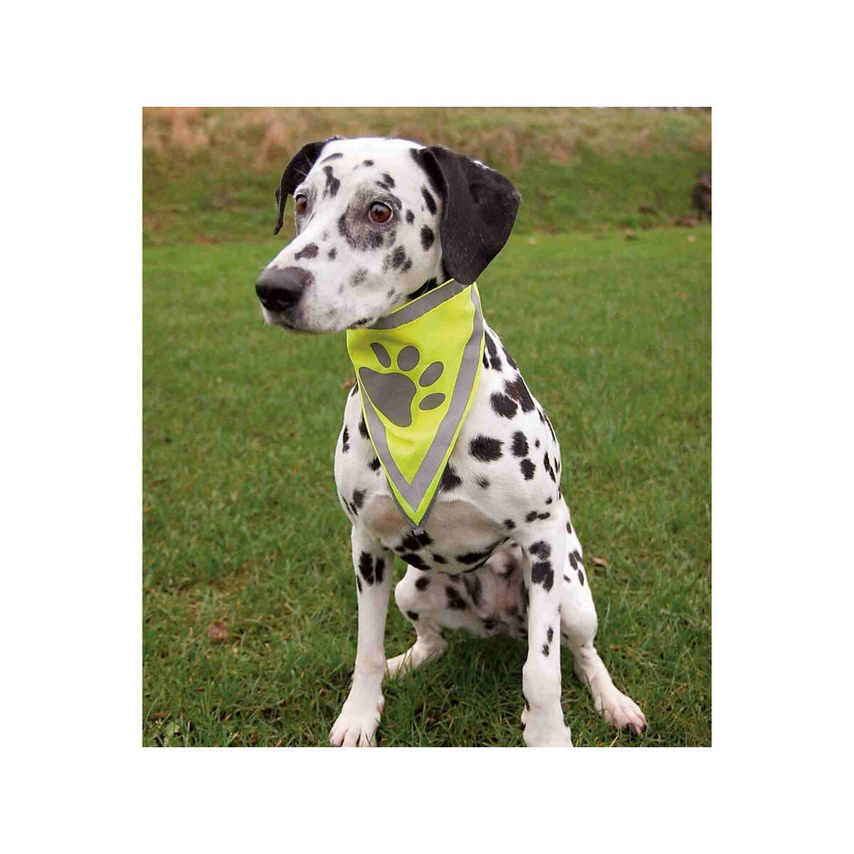 V4HE5951BB015F5BEE0BE5312A16CE52A40R7440304P3