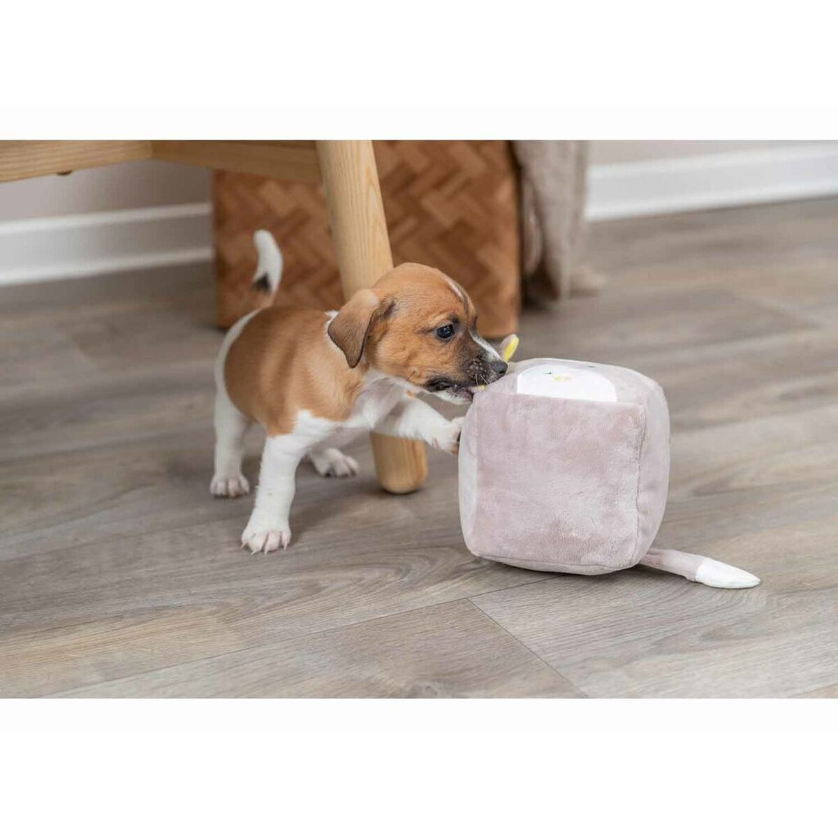 V7H13C8FB165DBB18571EFF8A2AE4DD3D7CR7456529P7