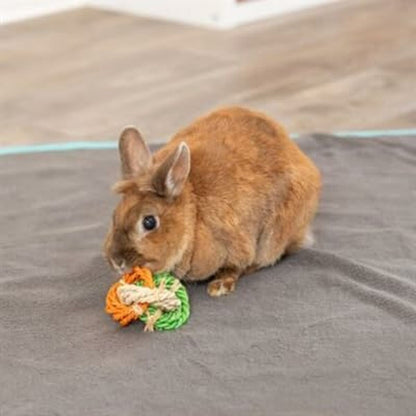 V5HD59376366369C0EF399C3DD5AFFB7893R5448864P3