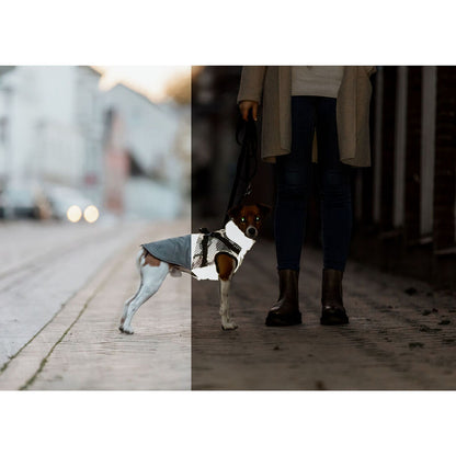 V3H7FFD28AECEC4C72CB4EB550B8531E696R7461535P10