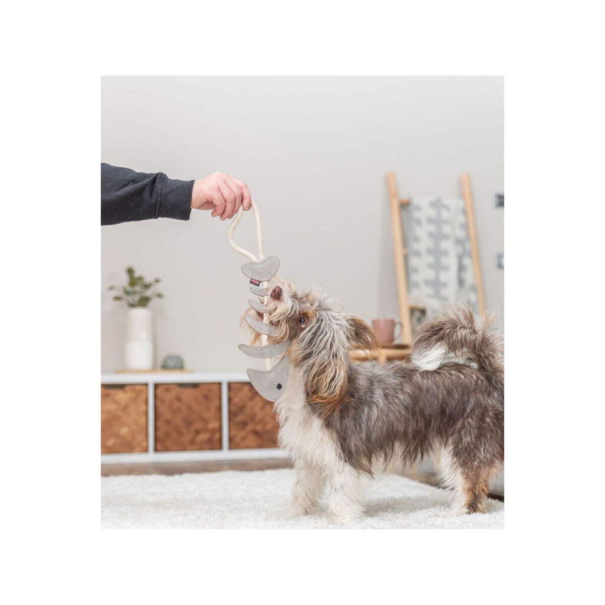 V3HDDBE6CE62509740AB799044D1951119ER7463023P7