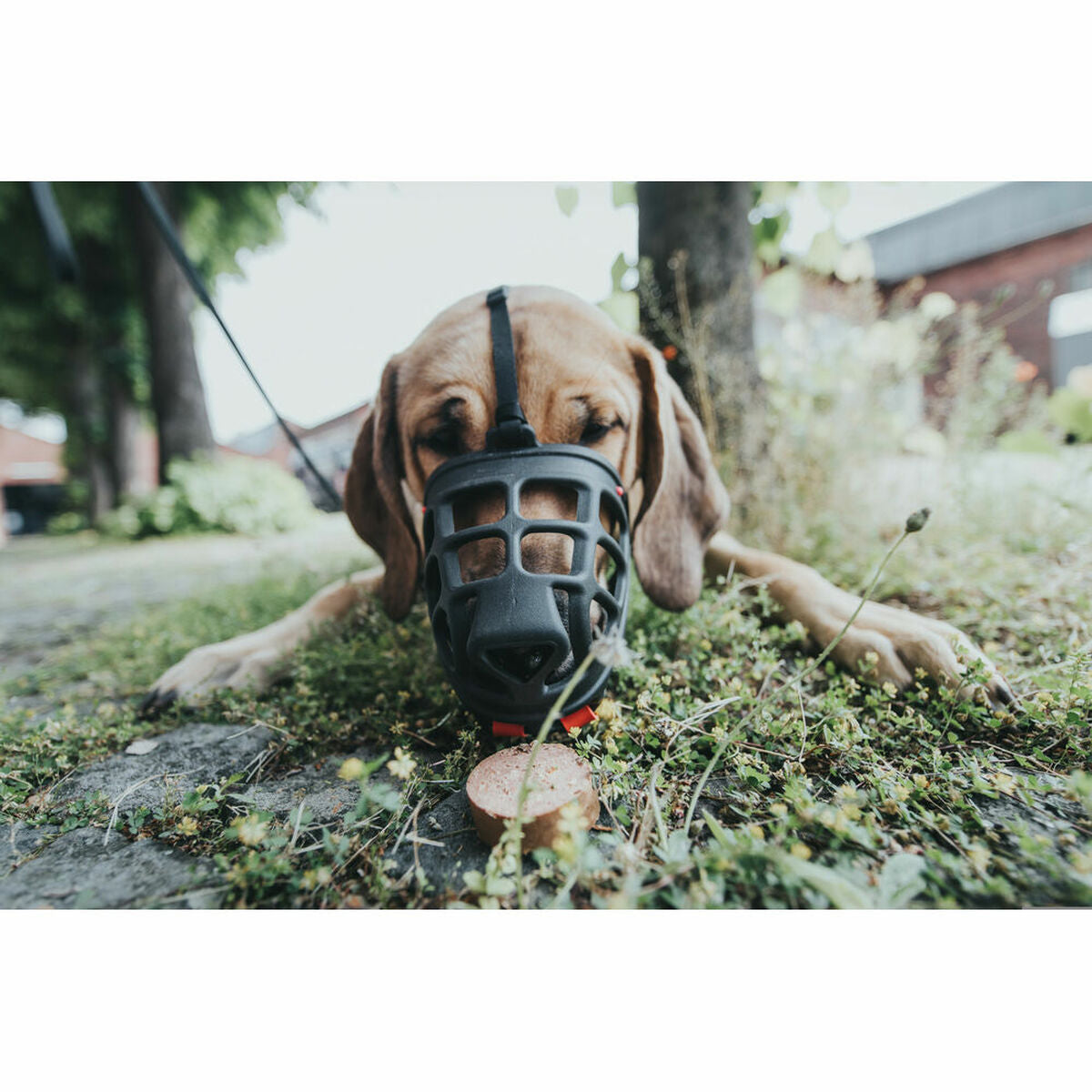 V5H9F58A82668628B62D0805BDDD7C5AB43R7381498P2