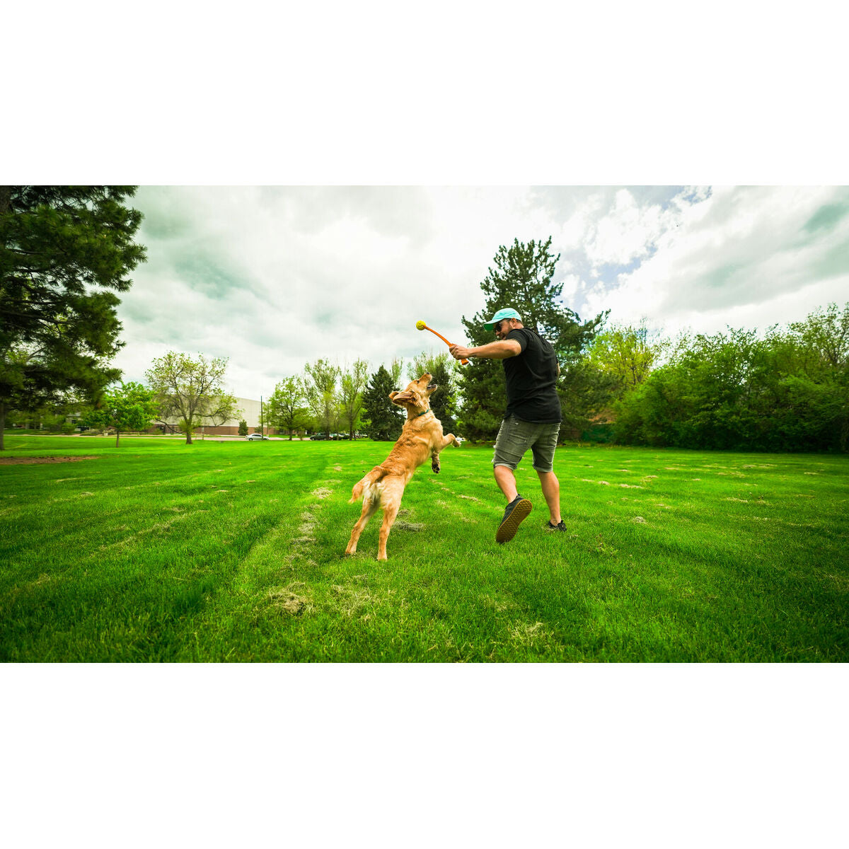 V4H89CDD0D4981F36CD8E639F7E4776CDC4R5333734P4