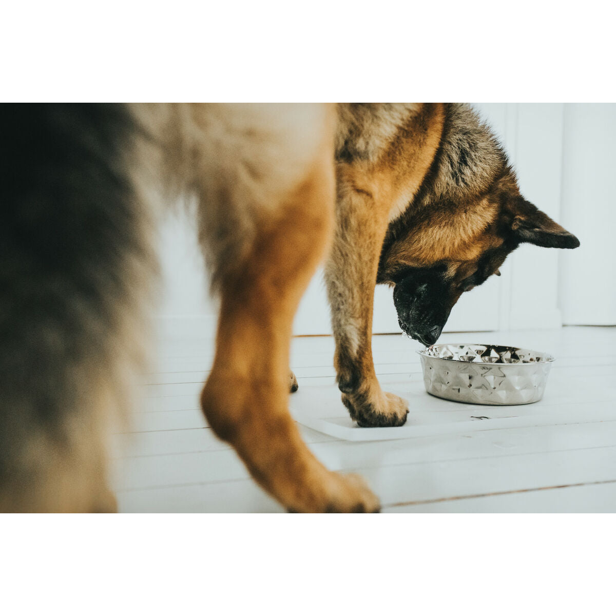 V5H63D8D19FD3505D7929975279912502E7R4438197P5