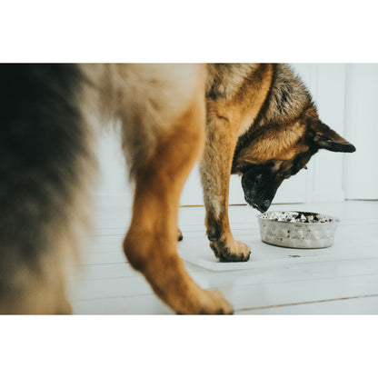 V5H63D8D19FD3505D7929975279912502E7R4438197P5