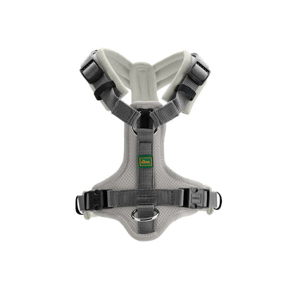 V5HF84ECCCB5880008DA62C223E58117A1FR4218206P2