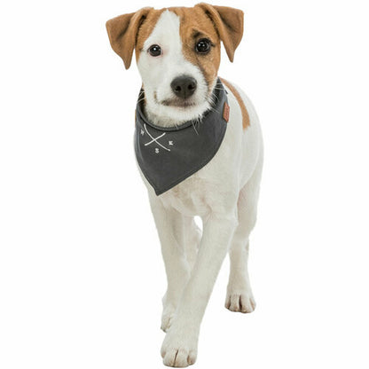 V4HC3D0ADC0C374CC8BECF21A1E05A93DC6R7453694P8