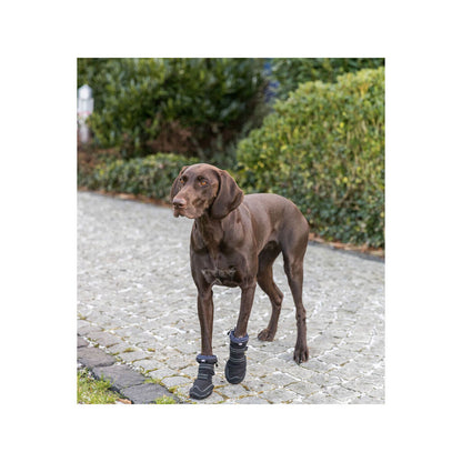 V3H1B7213937BC511CBB4BA0A6EB1A7EDC4R7455039P7