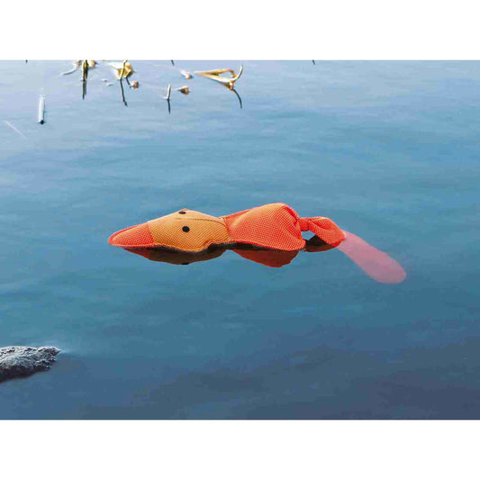 V6H645F377177CDF6E47EC51DEFEA2986B5R7443518P2