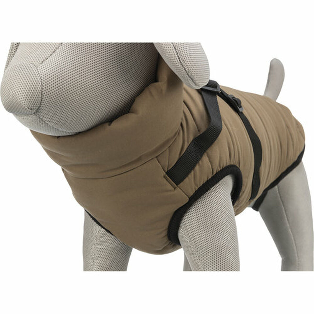 V4H7719D91050448767578778C701964218R7453887P10